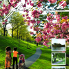 flourish_magazine_vol_4_web